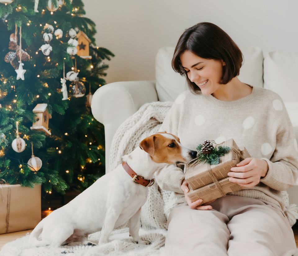 Réka Gyapjas  - Pet Owner photo