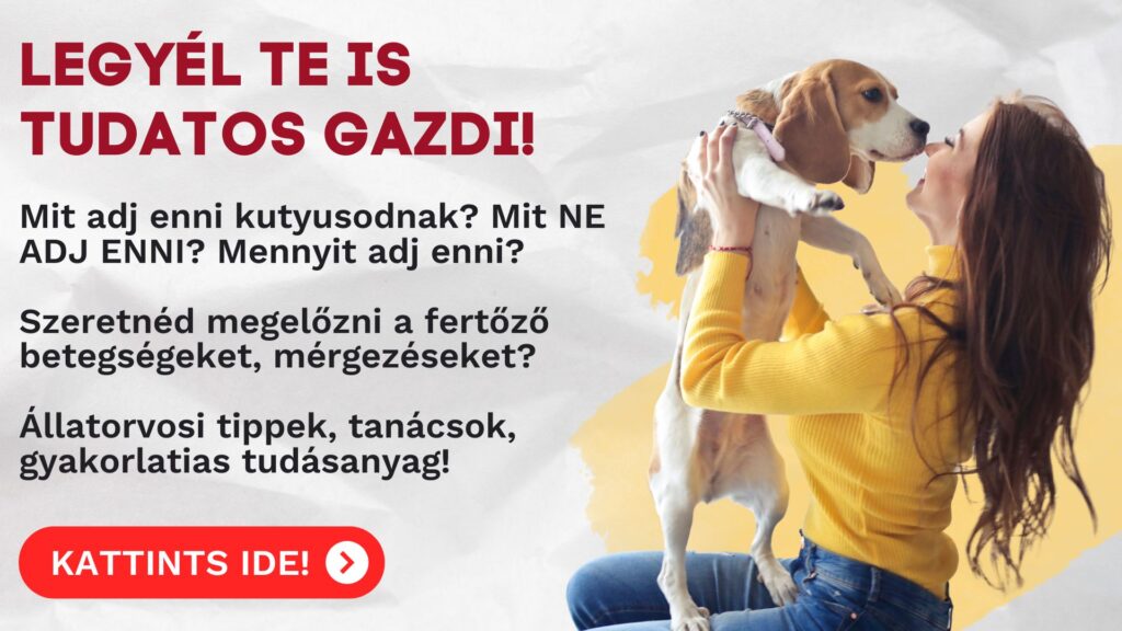 Tudatos gazdi képzés