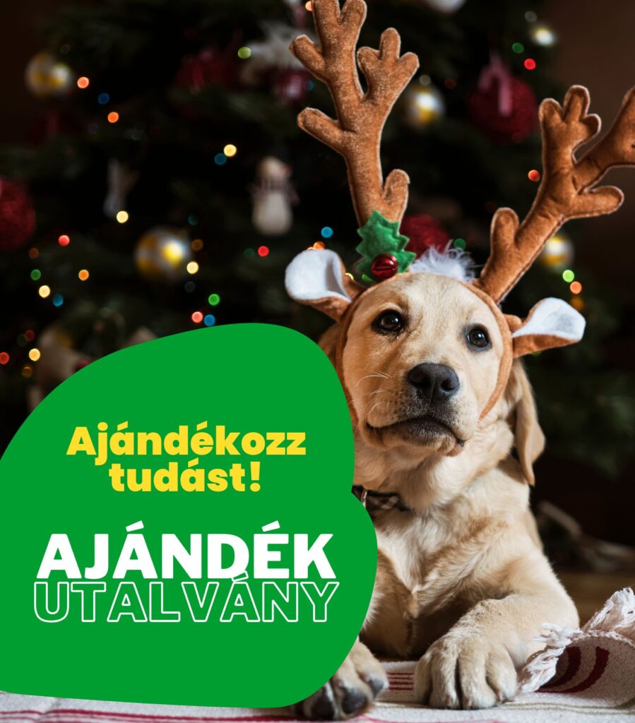 ajándékutalvány