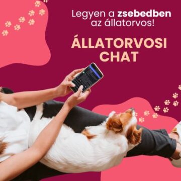 VETCHAT (400 x 400 képpont)