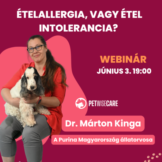 Táplálék allergia, vagy intolerancia? dr. Márton Kinga, a Purina Magyarország állatorvosa  - Webinár előadás részvételi jegy