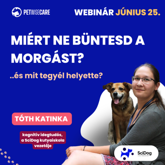 Miért ne büntessük a morgást és mit tegyünk helyette? - Tóth Katinka - Webinár előadás részvételi jegy