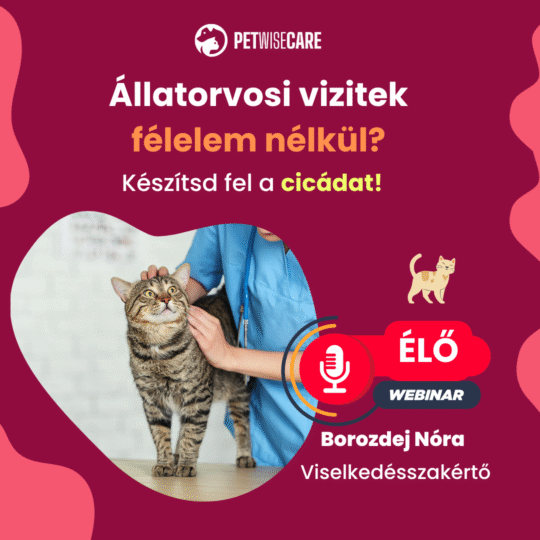 Hogyan legyen félelemmentes az állatorvosi vizit cicádnak? – Borozdej Nóra - Webinár előadás részvételi jegy