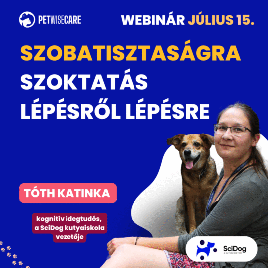 Szobatisztaságra szoktatás lépésről lépésre - Tóth Katinka - Webinár előadás részvételi jegy