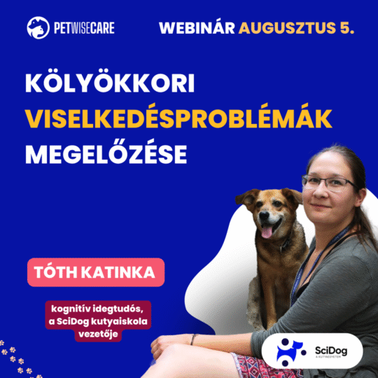 Kölyökkori viselkedésproblémák megelőzése - Tóth Katinka - Webinár előadás részvételi jegy