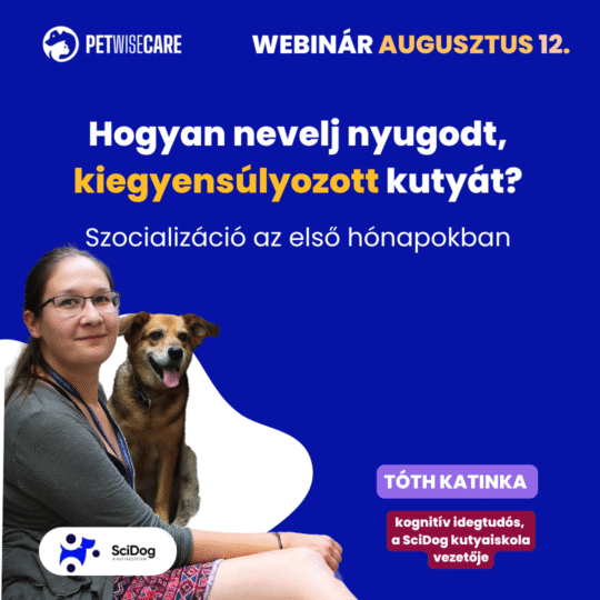 Szocializáció az első hónapokban – hogyan nevelj nyugodt, kiegyensúlyozott kutyát? - Tóth Katinka - Webinár előadás részvételi jegy