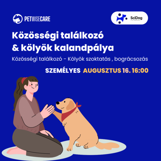 Közösségi találkozó és kölyök kalandpálya - Részvételi jegy