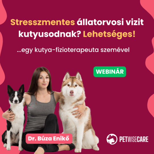 Stresszmentes állatorvosi vizit kutyusodnak? Lehetséges! - dr. Búza Enikő - Webinár előadás részvételi jegy
