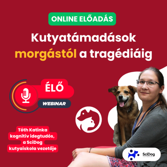 Kutyatámadások - morgástól a tragédiáig - Tóth Katinka, viselkedésszakértő és a SciDog alapítója - Webinár előadás részvételi jegy