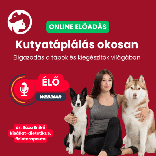 Kutyatáplálás okosan – eligazodás a tápok és kiegészítők világában - dr. Búza Enikő - Webinár előadás részvételi jegy