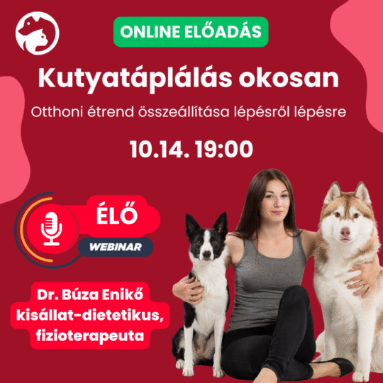 Kutyatáplálás okosan – Otthoni étrend összeállítása lépésről lépésre - Dr. Búza Enikő - Webinár előadás részvételi jegy