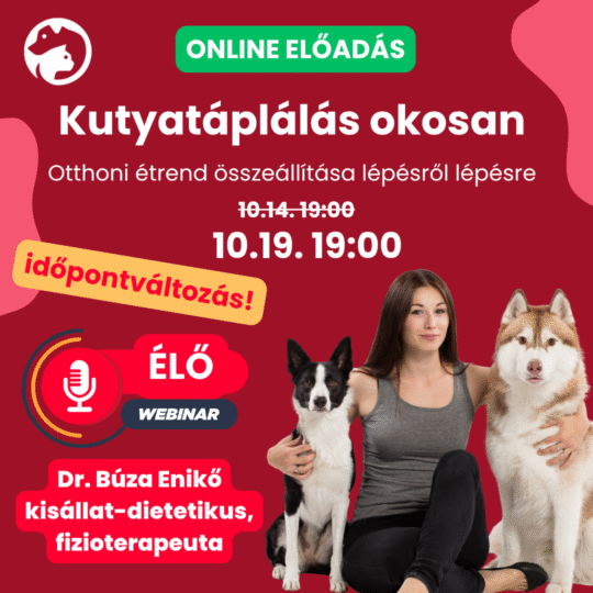 Kutyatáplálás okosan – Otthoni étrend összeállítása lépésről lépésre - Dr. Búza Enikő - Webinár előadás részvételi jegy