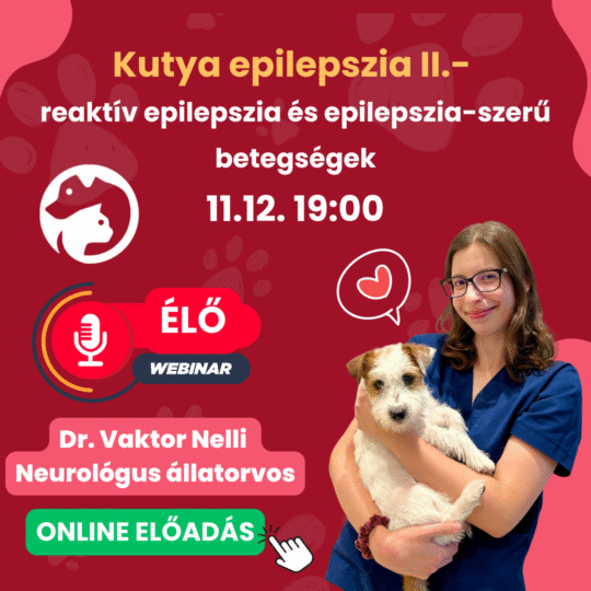 Kutya epilepszia II. - reaktív epilepszia és epilepszia-szerű betegségek - Dr. Vaktor Nelli - Webinár előadás részvételi jegy