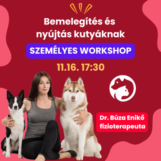 Bemelegítés és nyújtás kutyáknak – interaktív személyes workshop - Dr. Búza Enikő