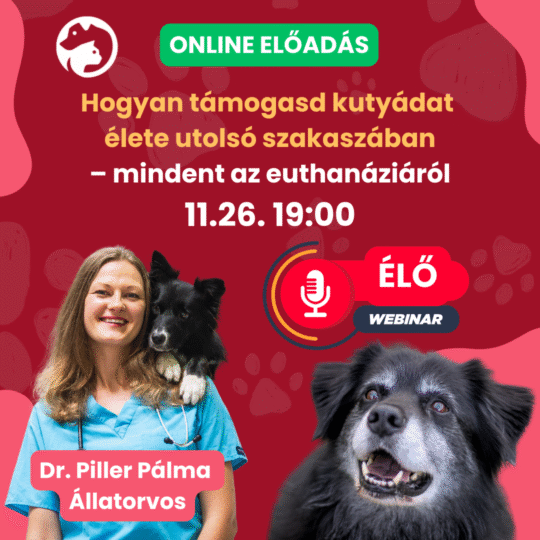 Hogyan támogasd kutyádat élete utolsó szakaszában – mindent az euthanáziáról - Dr. Piller Pálma - Webinár előadás részvételi jegy