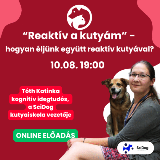 "Reaktív a kutyám" - hogyan éljünk együtt reaktív kutyával? - Tóth Katinka, viselkedésszakértő és a SciDog alapítója - Webinár előadás részvételi jegy