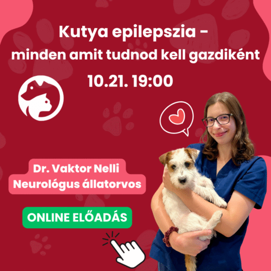 Kutya epilepszia- minden amit tudnod kell gazdiként - dr. Vaktor Nelli - Webinár előadás részvételi jegy