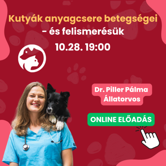 Kutyák anyagcsere betegségei- és felismerésük - Dr. Piller Pálma - Webinár előadás részvételi jegy