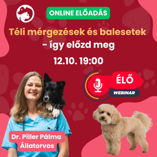 Téli mérgezések és balesetek - így előzd meg - Dr. Piller Pálma - Webinár előadás részvételi jegy