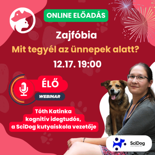 Zajfóbia, mit tegyél az ünnepek alatt? - Tóth Katinka, viselkedésszakértő és a SciDog alapítója - Webinár előadás részvételi jegy