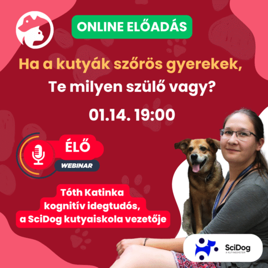 Ha a kutyák szőrös gyerekek, Te milyen szülő vagy? - Tóth Katinka, viselkedésszakértő és a SciDog alapítója - Webinár előadás részvételi jegy