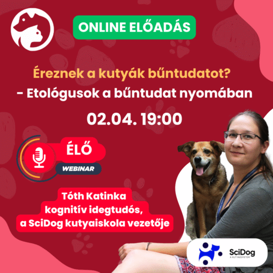 Éreznek a kutyák bűntudatot? Tényleg? Biztos? - etológusok a bűntudat nyomában - Tóth Katinka, viselkedésszakértő és a SciDog alapítója - Webinár előadás részvételi jegy