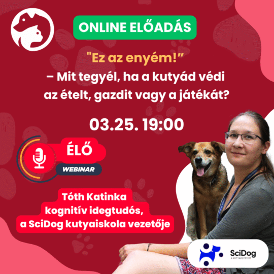 "Ez az enyém!” – Mit tegyél, ha a kutyád védi az ételt, gazdit vagy a játékát?- Tóth Katinka, viselkedésszakértő és a SciDog alapítója - Webinár előadás részvételi jegy