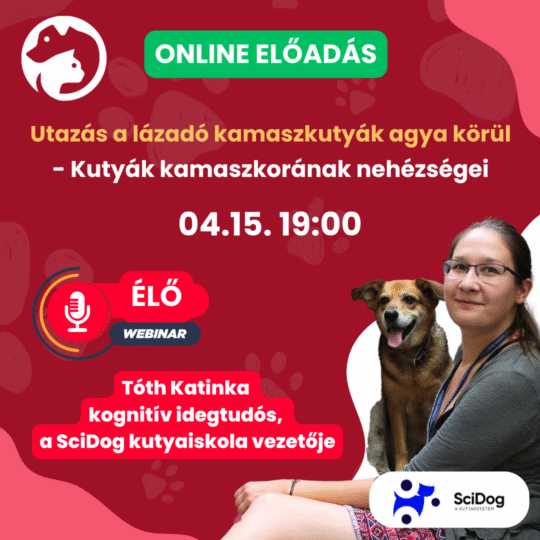 Utazás a lázadó kamaszkutyák agya körül- Tóth Katinka, viselkedésszakértő és a SciDog alapítója - Webinár előadás részvételi jegy