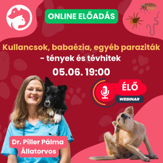 Kullancsok, babaézia, egyéb paraziták - tények és tévhitek - így védd kedvenced hatékonyan - Dr. Piller Pálma - Webinár előadás részvételi jegy