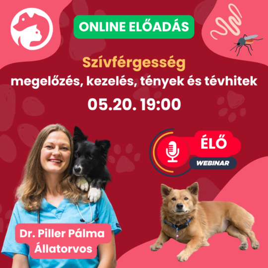 Szívférgesség - megelőzés, kezelés, tények és tévhitek- Dr. Piller Pálma - Webinár előadás részvételi jegy