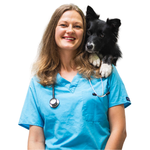 Dr Piller Pálma