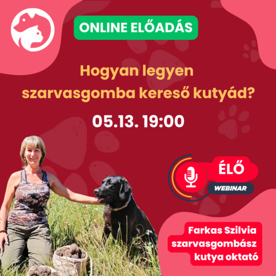 Hogyan legyen szarvasgomba kereső kutyád? - Farkas Szilvia, szarvasgombász-kutya oktató- Webinár előadás részvételi jegy