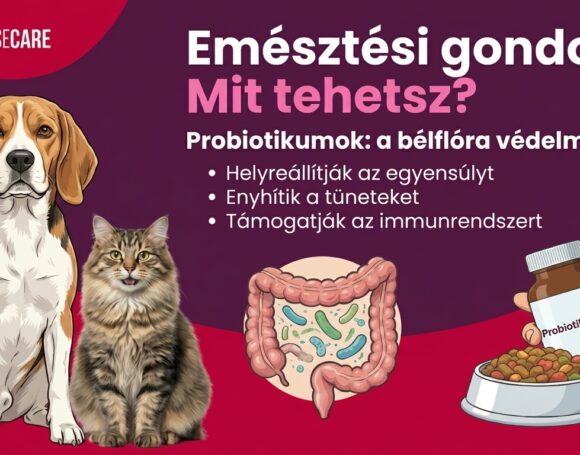szélesvásznú_képet_202604231021